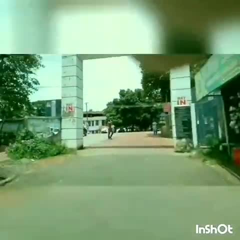 ചങ്ങനാശ്ശേരി: പായിപ്പാട് പഞ്ചായത്തിലെ 13-ാം വാർഡിനെ കണ്ടെയിൻമെൻ്റ് സോൺ പട്ടികയിൽ നിന്ന് ഒഴിവാക്കി