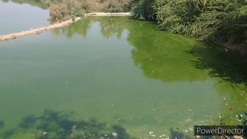 हांसी: हांसी की ऐतिहासिक क्यामसर झील से कब्जा हटाने को लेकर नगर परिषद ने निशानदेही और पैमाइश के लिए राजस्व विभाग को लिखा पत्र