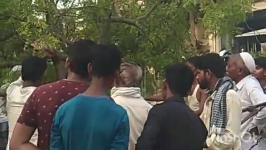 मछलीशहर: घीसूआखुर्द में तेज़ हवा के कारण बिजली के तार पर गिरा नीम का पेड़, क्षेत्र में 4 घंटों तक बिजली आपूर्ति रही बाधित