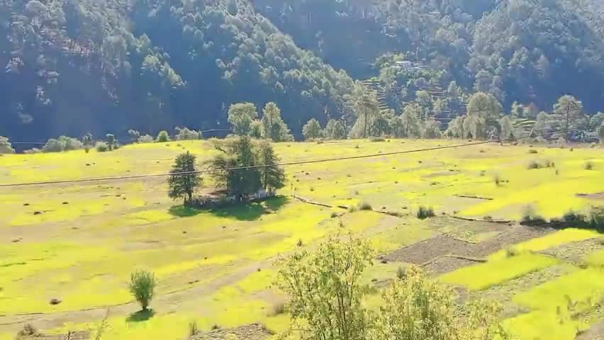 देवाल: वर्षा के बाद चम चमाती धूप व ये खुशनुमा मौसम