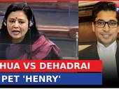 Dog Henry locked up to deter CBI, concerned for its safety', alleges Mahua  Moitra's 'jilted ex