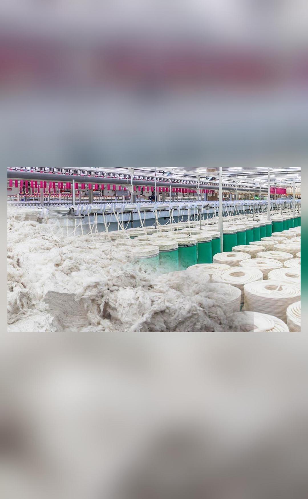 Surge In Cotton Consumption Boosts Textile Industry