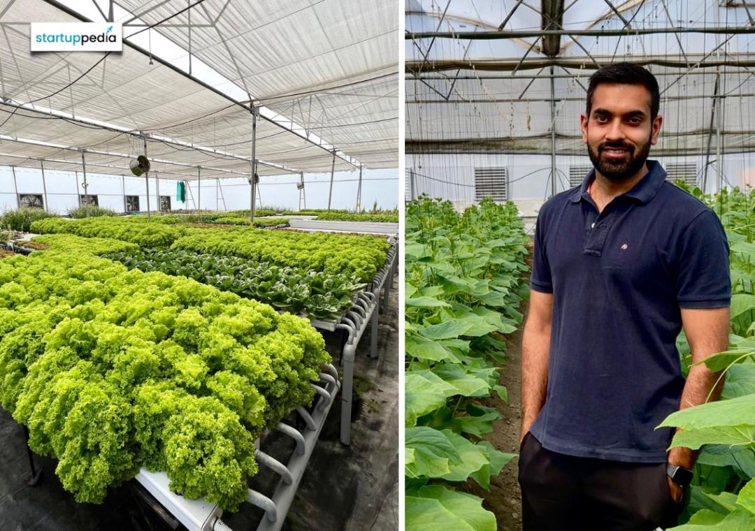 MBA grad grows veggies without soil, targets ₹1 cr revenue in FY25