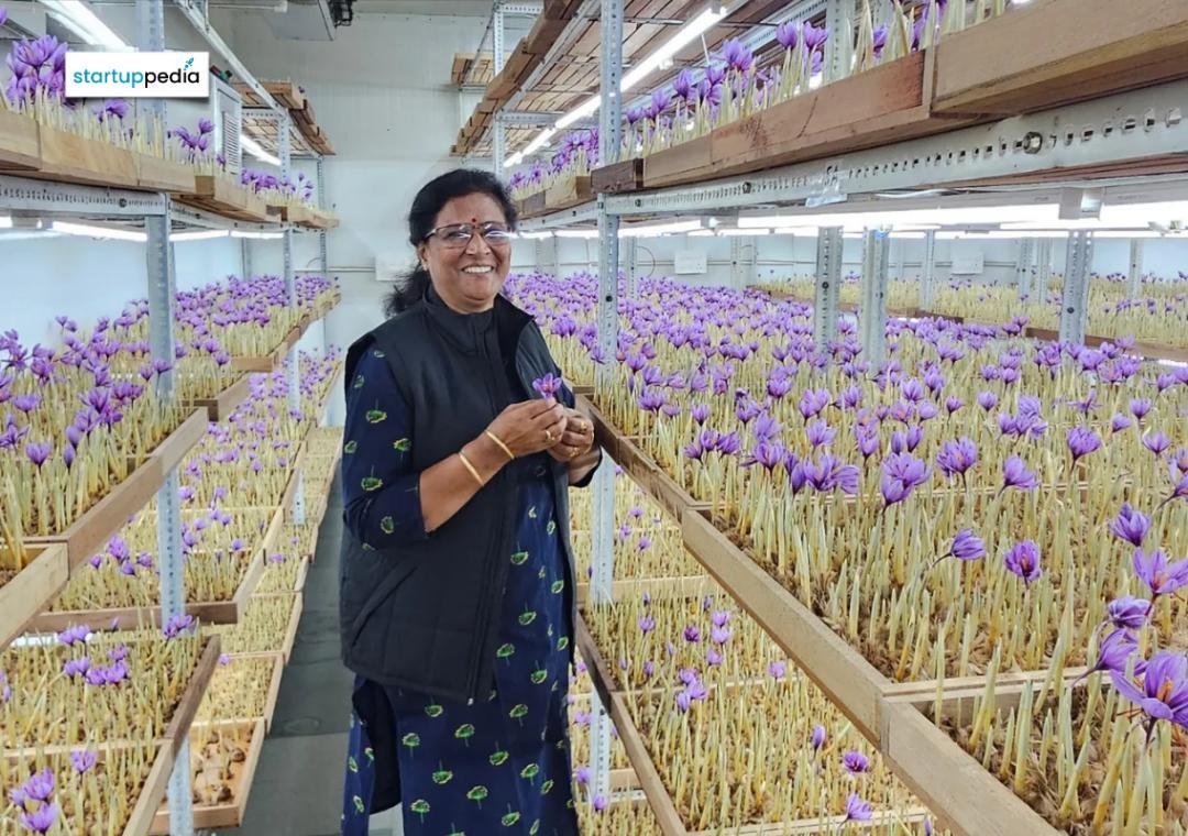 64-yr-old UP woman grows saffron indoors, earns ₹10 lakh annually