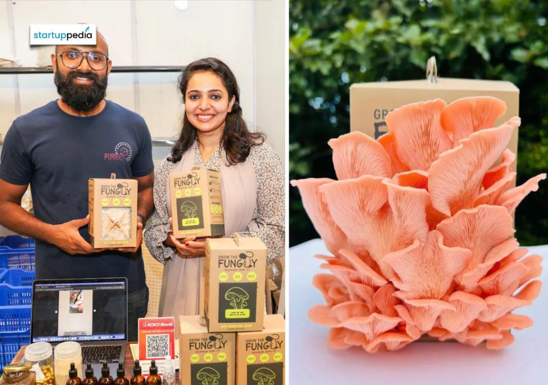 Kerala couple helps farmers earn ₹6 crore with their mushpellets