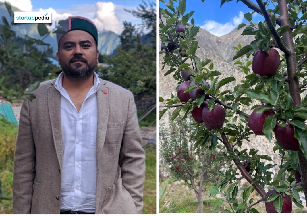 Man quits MNC job to help 800 apple farmers in Himachal Pradesh
