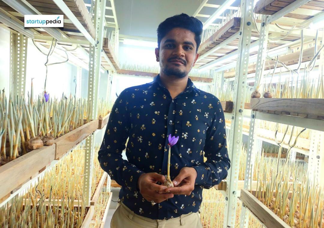 Two BTech grads earn ₹20 lakh annually from indoor saffron farming