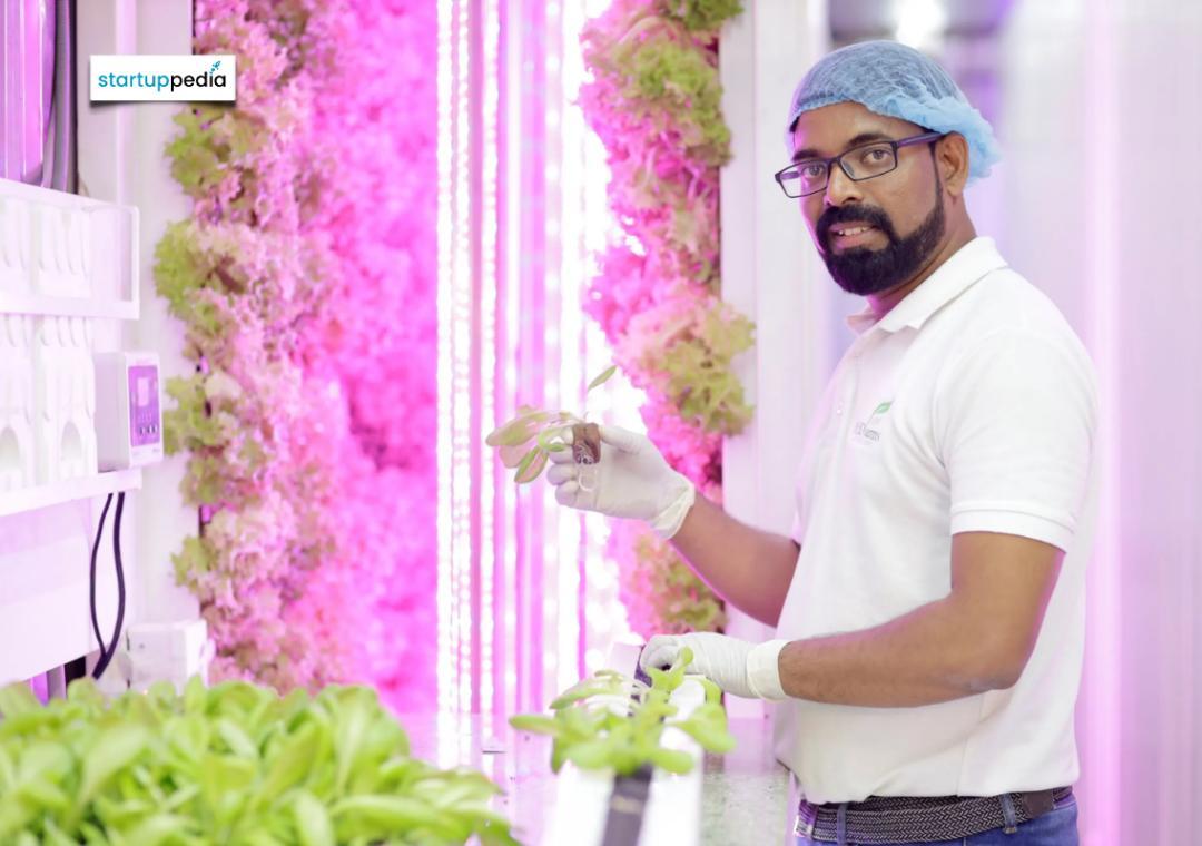 Pune engineer quits job for hydroponic farming, earns in crores