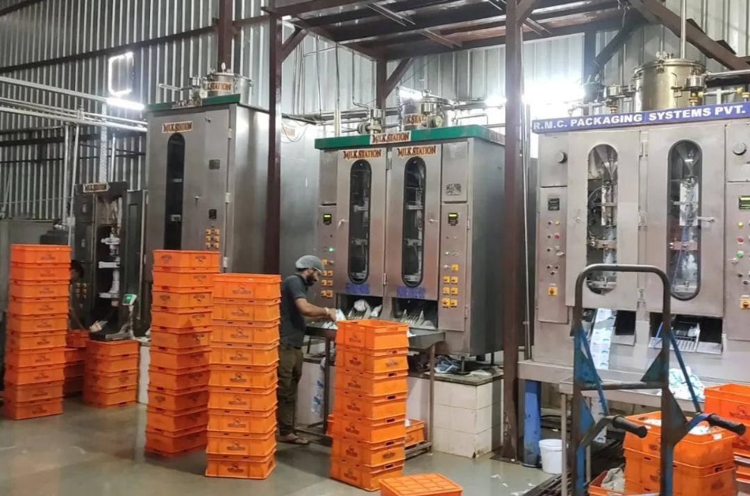 MilkStation: Rajasthan's rising dairy startup success