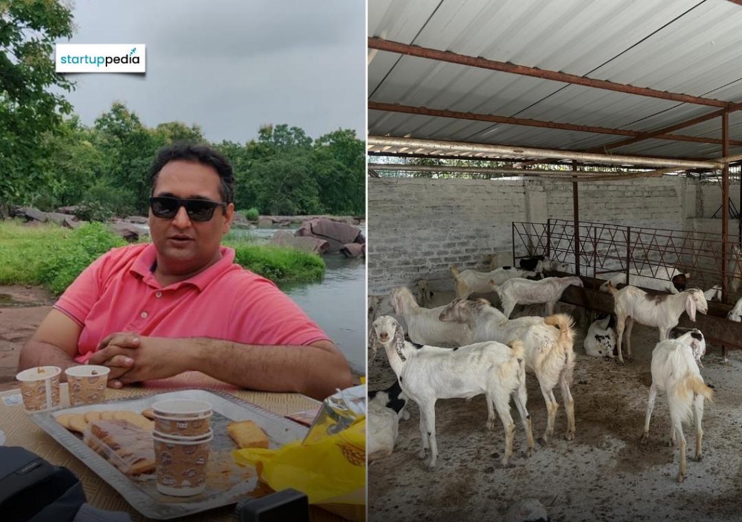 Bhopal man starts double-storey goat farm, now earns in lakhs