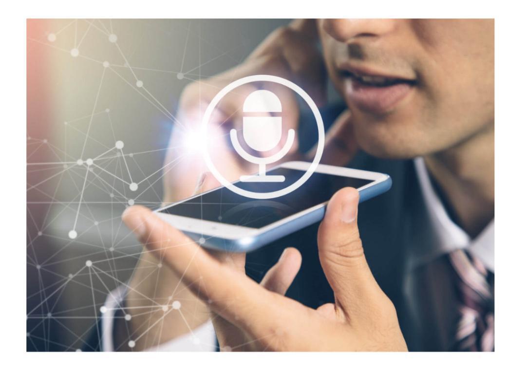 Implement key strategies to rank higher in voice search