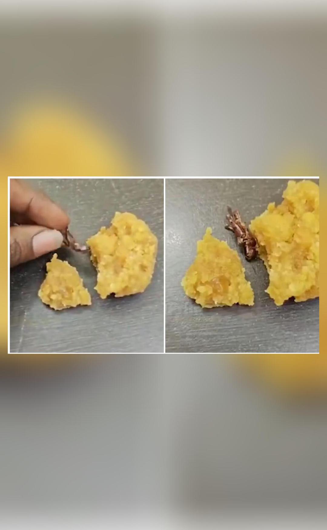 Man says he found cockroach in 'laddoo' prasadam, temple denies