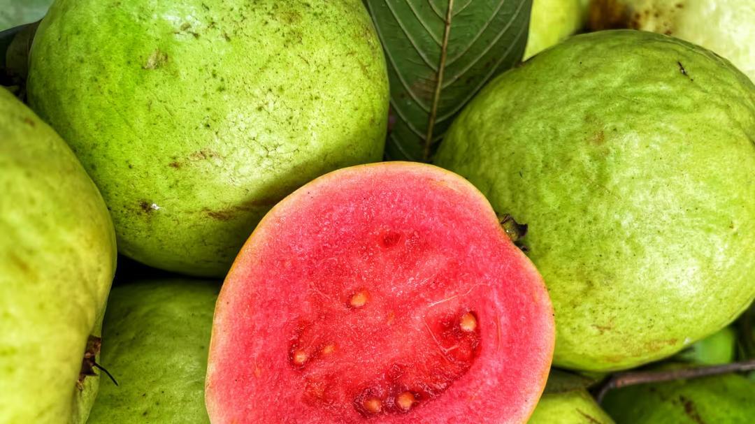 Delaware University recreate guava molecules to fight liver cancer