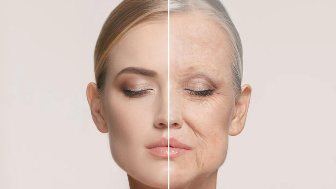 Scientists find anti-ageing cream that 'significantly' improves skin