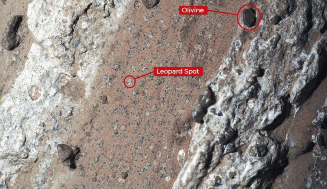 NASA rover finds possible bio-signatures in Martian rock samples