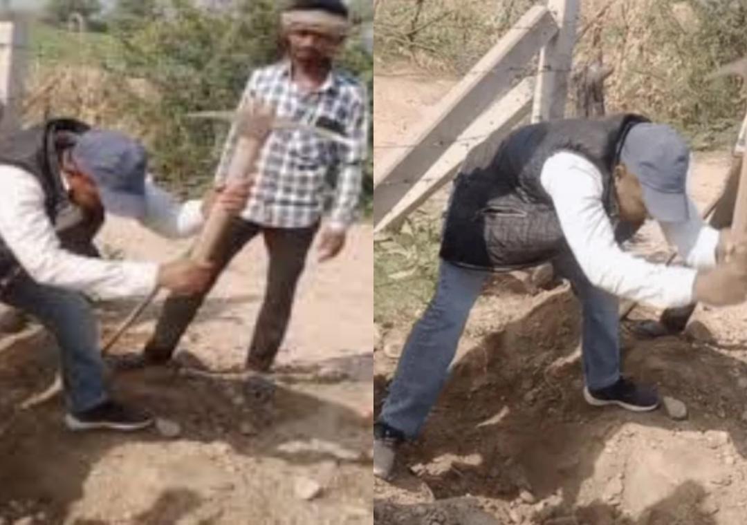 Raj farmers tell BLO they are too busy to fill SIR forms, he joins them in field