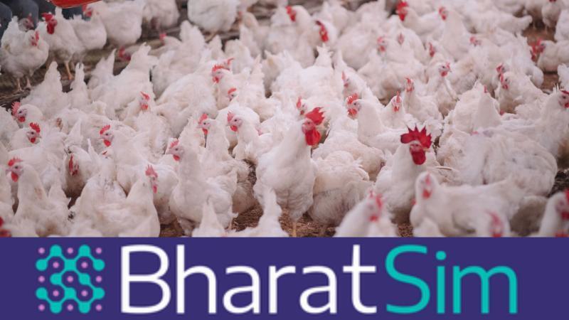 Computer model simulates bird flu outbreak in India