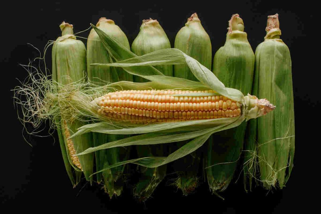 Can corn-silk cure health problems?
