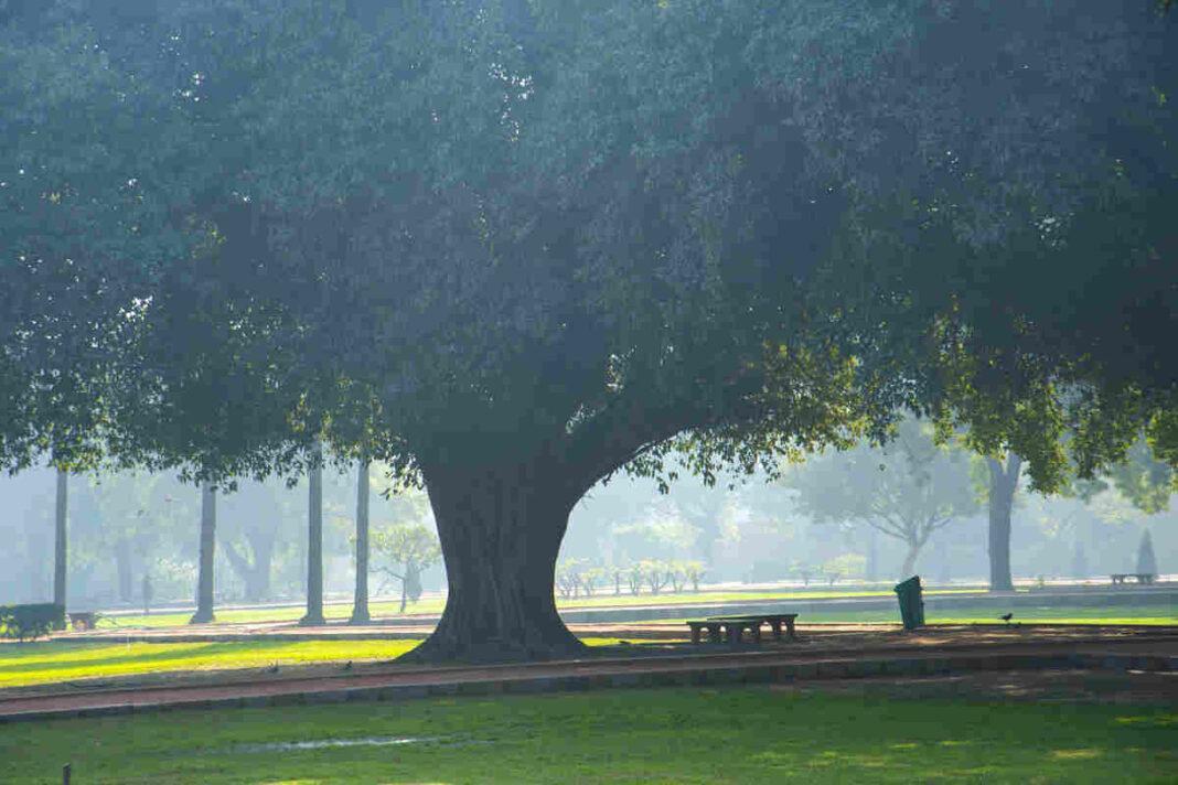 Early-morning workouts in smog possess hidden risks: Expert