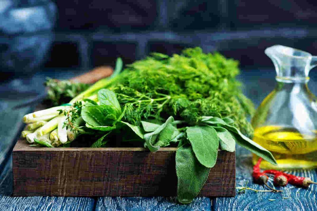 What diet should patients of COPD follow?
