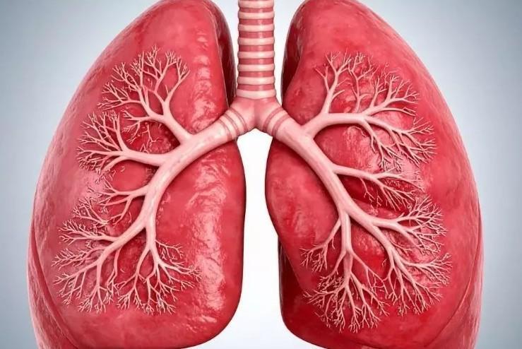 Hormonal changes in menopause can impact lung health: Expert