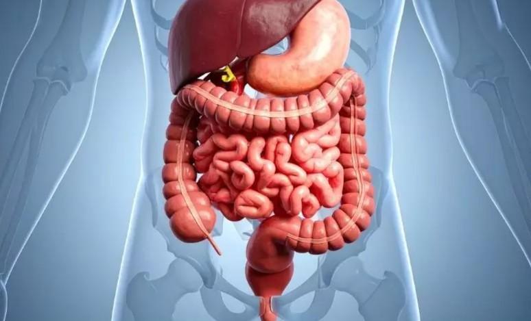 Is weather change triggering stomach infections in children?