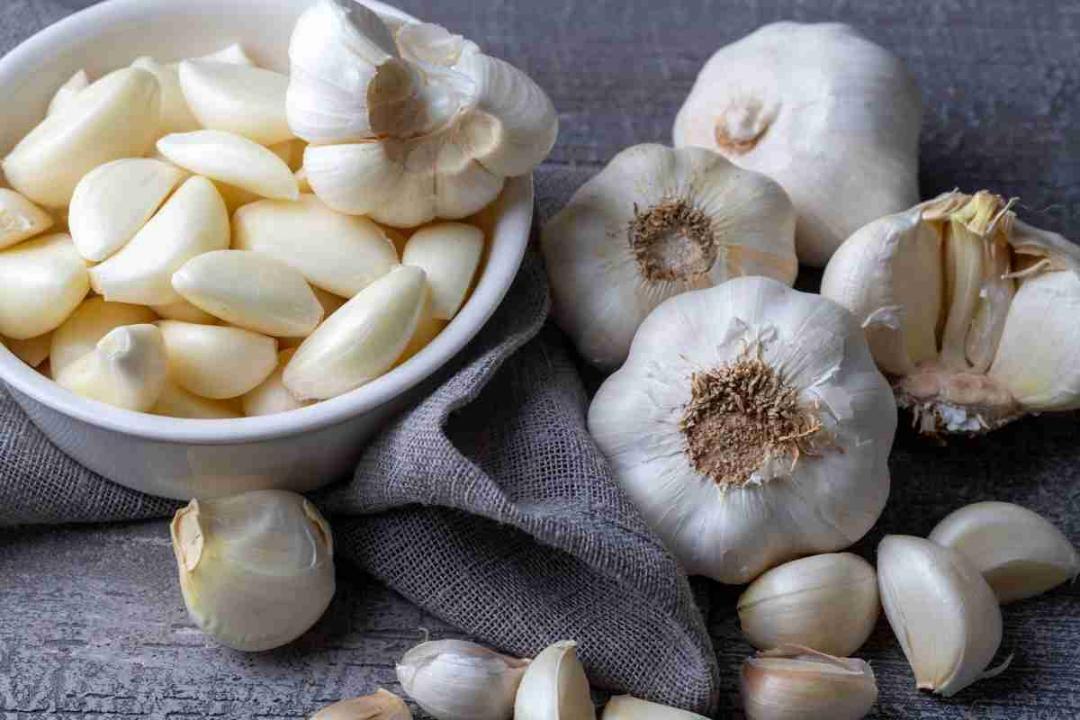 Can garlic really help toothaches without delaying treatment?
