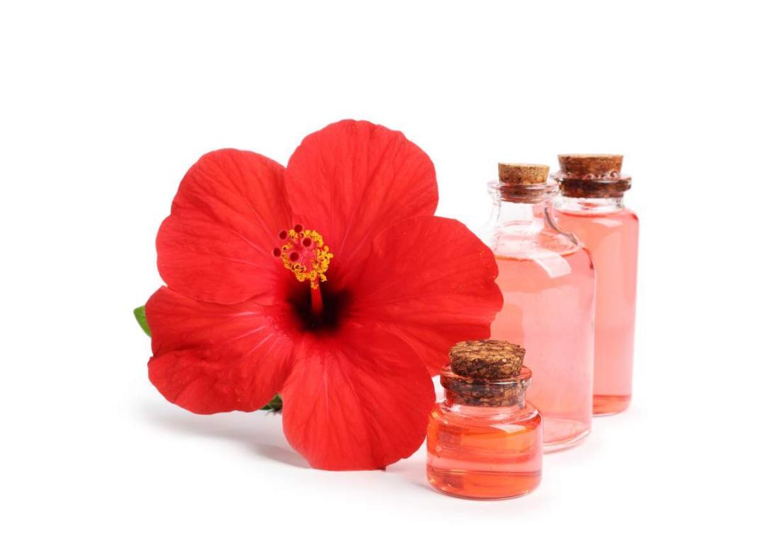 Expert warns against Hibiscus hair-growth viral recipe hype