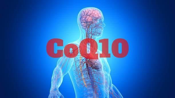 What is CoQ10, present in the human body?