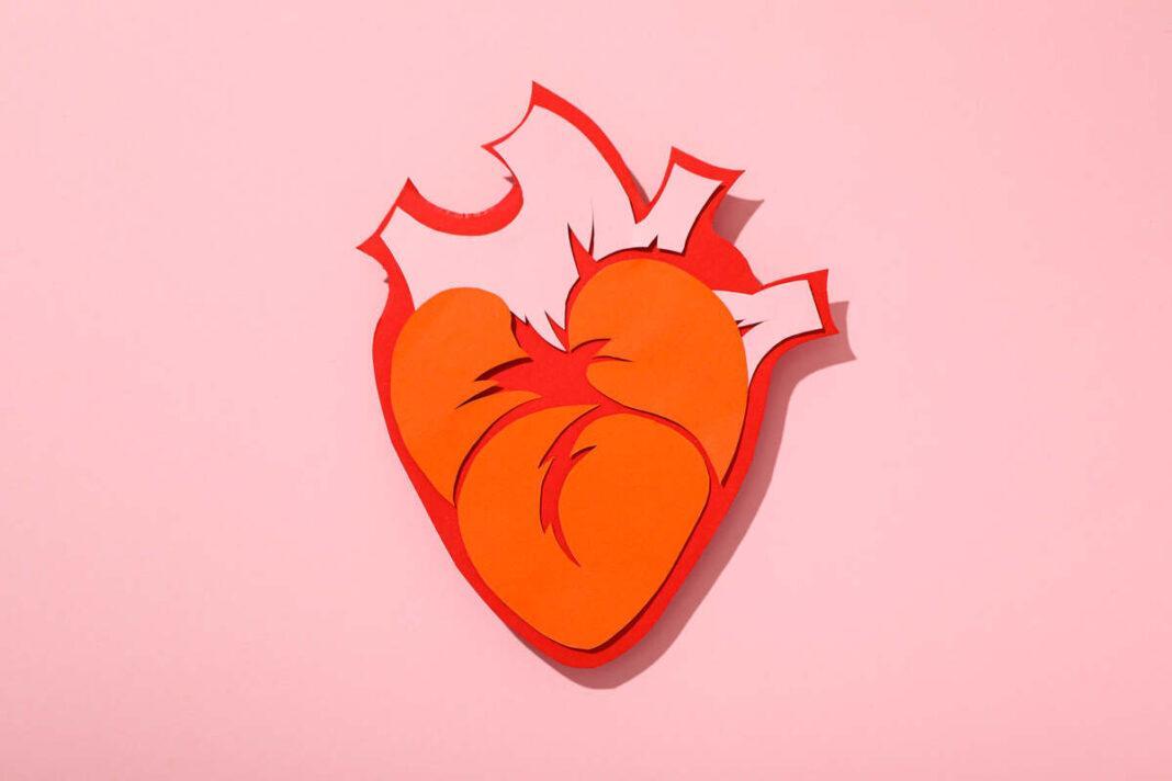 Why a healthy heart means a healthy brain?