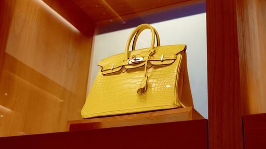 Hermes, Birkin bag's trademarks to be recognised in India: HC