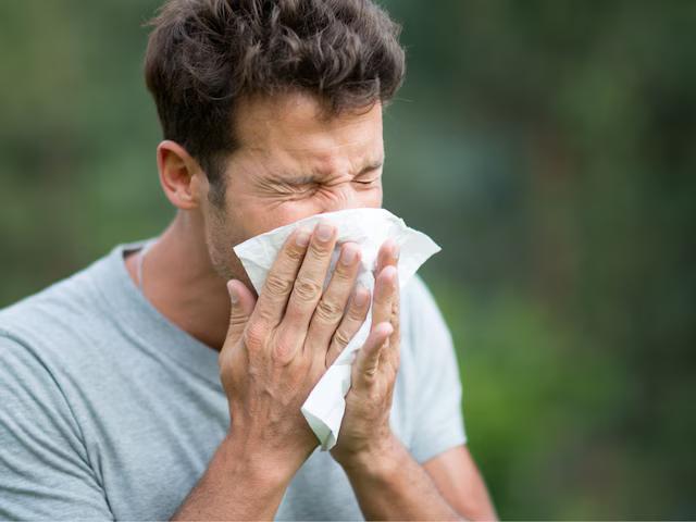  How can one tell if they are sneezing due to common cold or winter allergies?