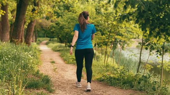 What is colour walk?          