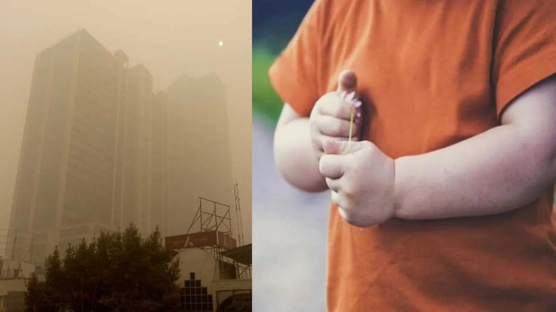 Delhi teens twice as likely to be obese as counterparts in South