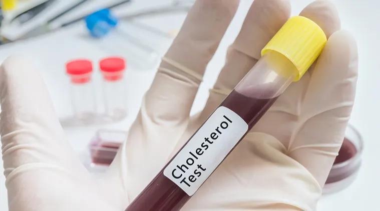 Why do cholesterol levels increase in winter?