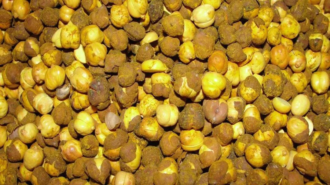 What is Auramine O, banned industrial dye found in roasted chana?