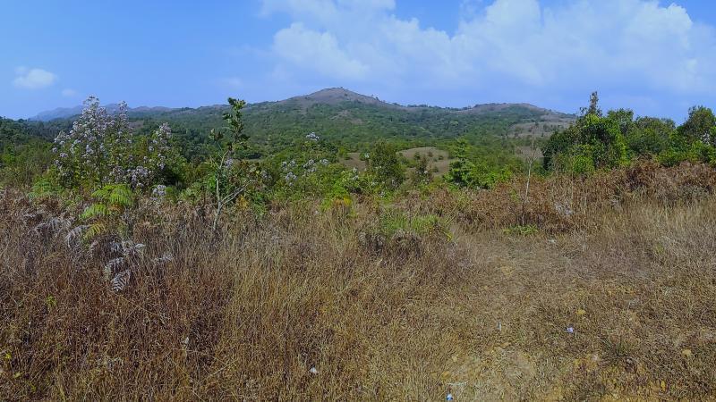 BITS Pilani study warns climate change threatens Western Ghats