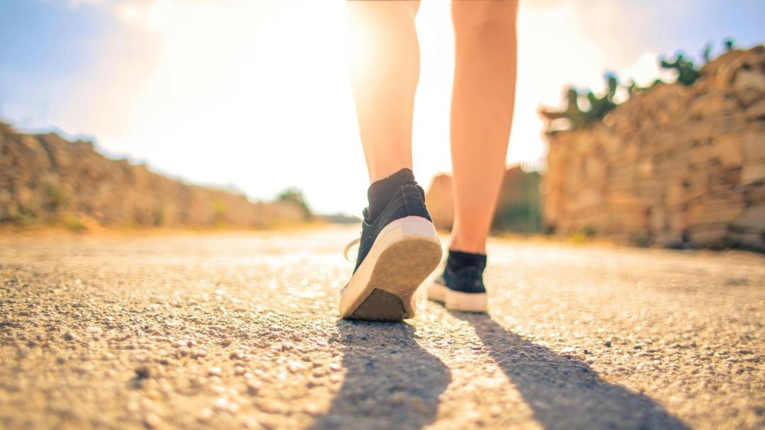 Which is better among a 1-hour walk, a 30-minute stroll and two 15-minute walks?