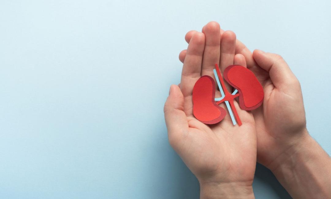 Children with one kidney can lead healthy lives says experts