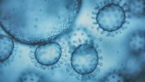 Norovirus cases rise sharply in the US this winter