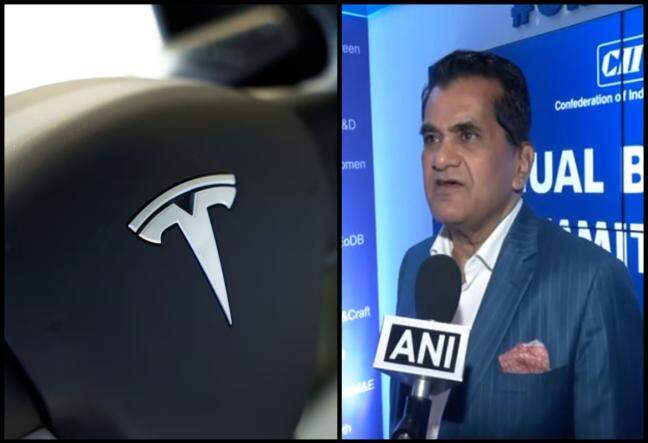 India won't change EV policy to suit specific firms: Kant on Tesla