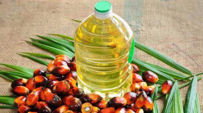 Govt asks edible oil bodies to not hike retail prices 