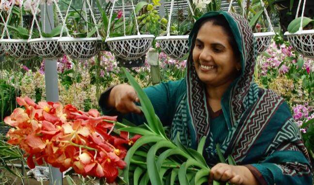 Homemaker earns ₹4 lakh per month after setting up orchid nursery