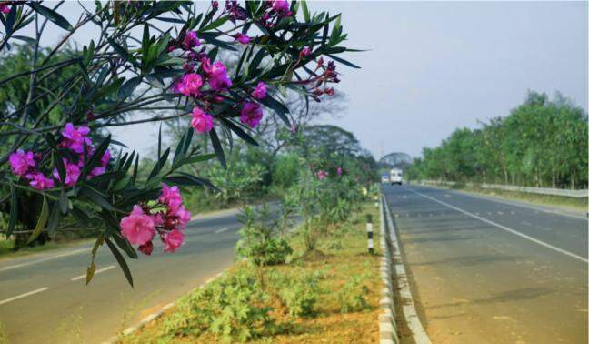 Travel time from Kochi to Thiruvananthapuram reduce to 2.5 hrs