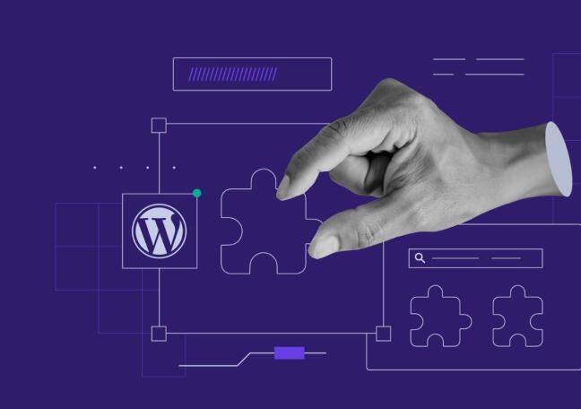 What plugins power high-performing WordPress sites?