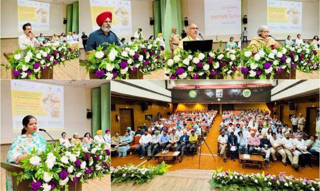 Punjab's microfood boom: Small units, big impact