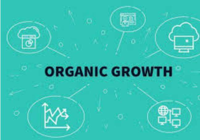 Why organic growth is still the smartest strategy