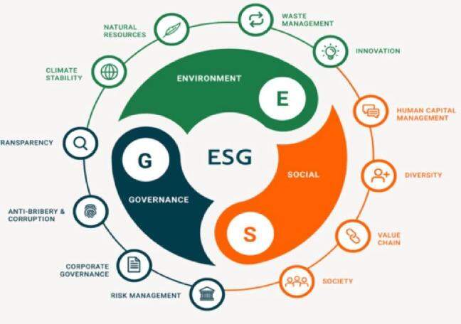 How do ESG principles influence new ventures?