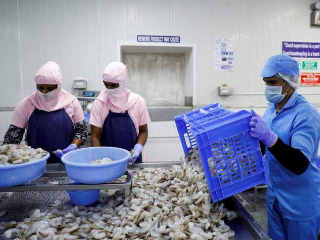 US Senators introduce 'India Shrimp Tariff Act', call for increasing duty