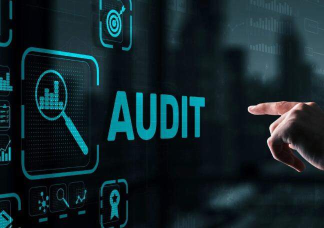 What do social audits reveal about organisations?